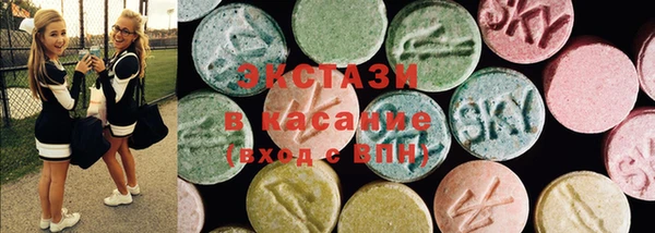 стаф Алзамай