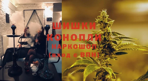 стаф Алзамай