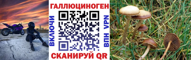 Псилоцибиновые грибы Magic Shrooms  Далматово 