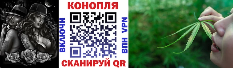 Конопля гибрид  Далматово 